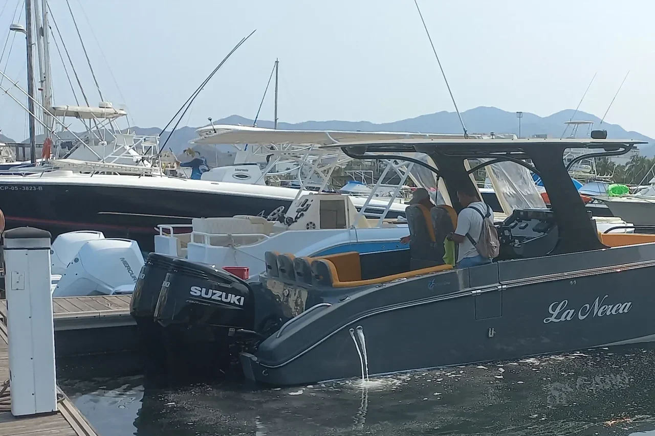 YLancha La Nerea en alquiler en Santa Marta, con capacidad para 15 personas.